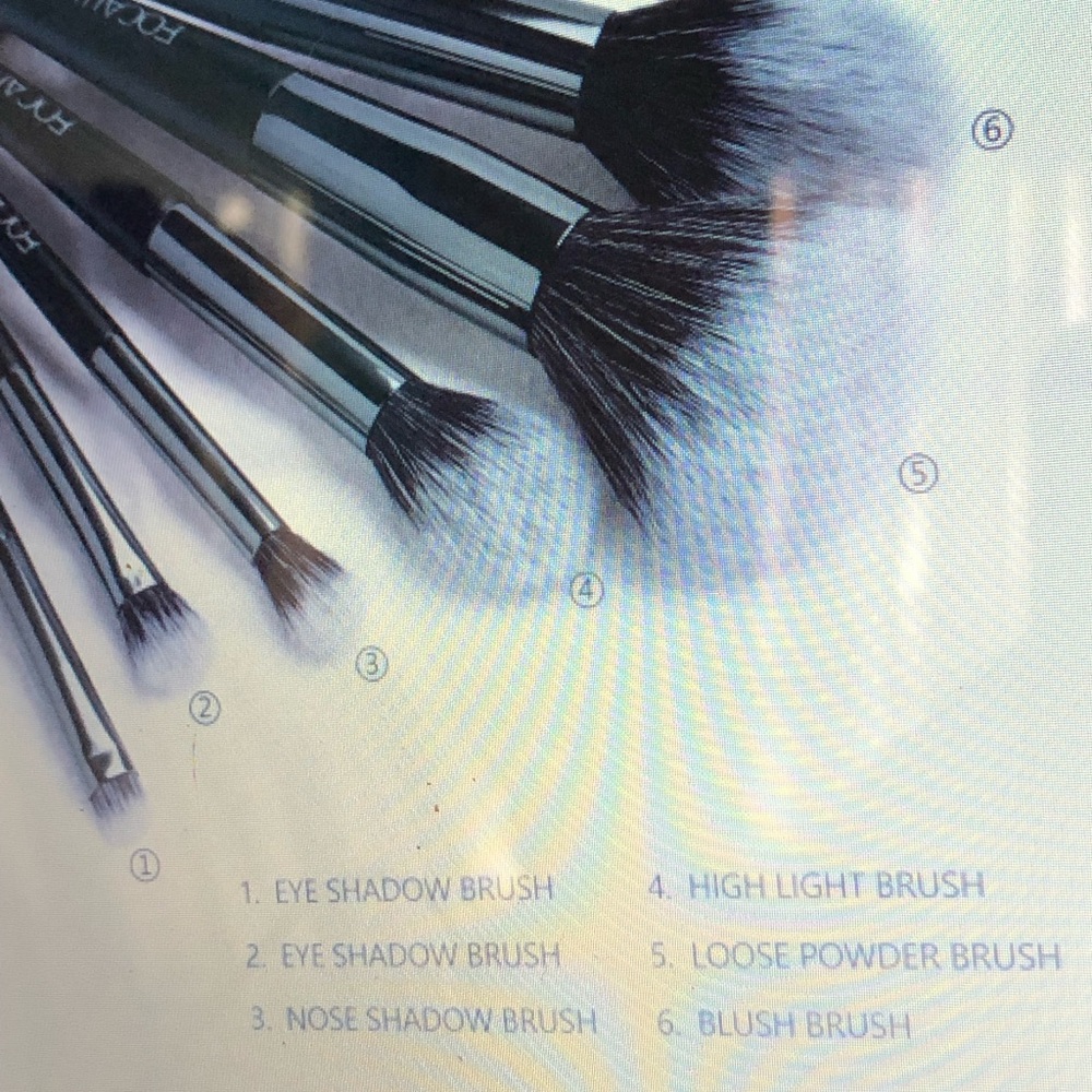 6 PIECE MAKEUP BRUSH SET OF 6